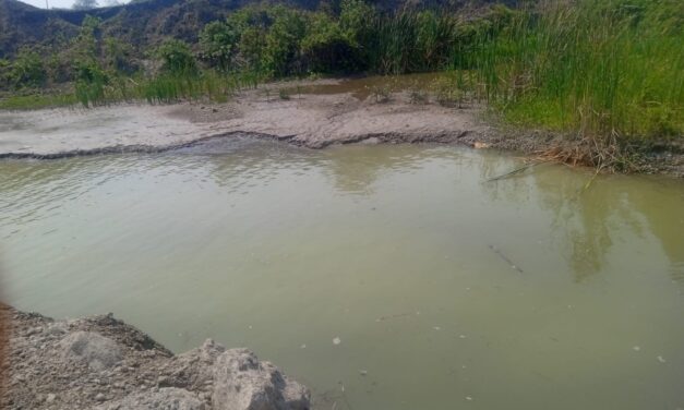 Descubren manantial en zona rural de Pueblo Viejo