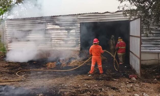 Papantla: Bodega de SuKarne arde en llamas
