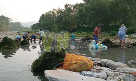 Álamo: Se unen al rescate del río Tuxpan: Comunidades ribereñas se movilizan para enfrentar la sequía y el sargazo