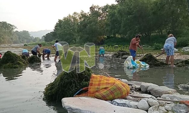 Álamo: Se unen al rescate del río Tuxpan: Comunidades ribereñas se movilizan para enfrentar la sequía y el sargazo