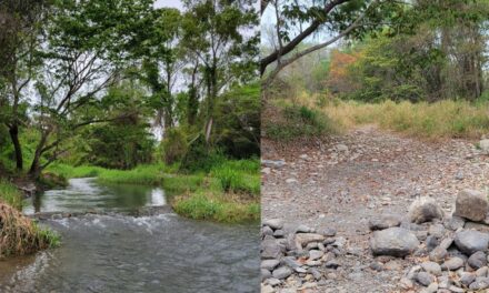 Naranjos: Habitantes de la localidad de Cervantes preocupados por la sequía y el  saqueo de agua
