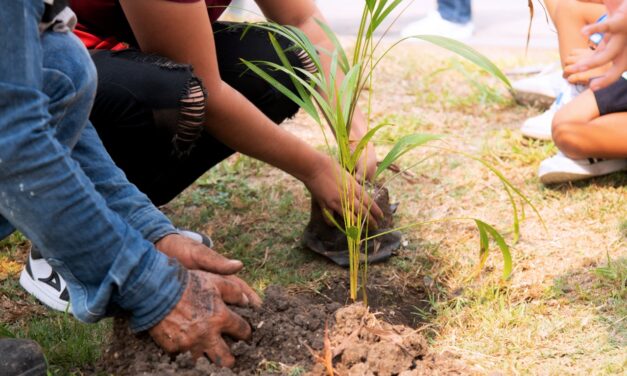 Tuxpan:Se donaron cientos de arbolitos en el marco la campaña “Adopta un árbol y juntos cuidemos el planeta”