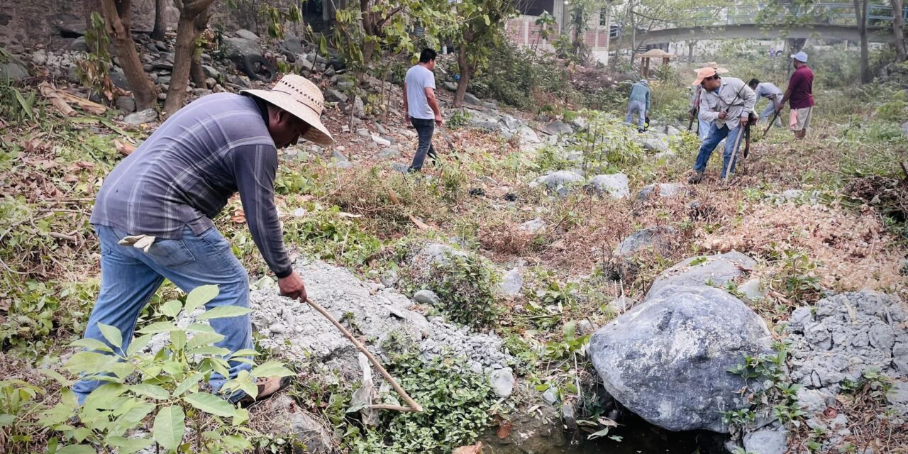 Tamalín: Festejan el día mundial del medio ambiente con faena en el arroyo