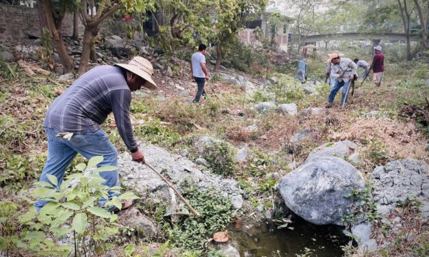 Tamalín: Festejan el día mundial del medio ambiente con faena en el arroyo
