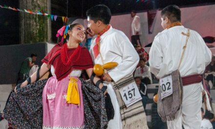 Concurso nacional de Huapango Tuxpan, Ver