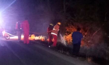 Incendios en zona norte de Veracruz provocan movilización de los cuerpos de emergencia:  Álamo, Cerro Azul y Naranjos son los municipios afectados