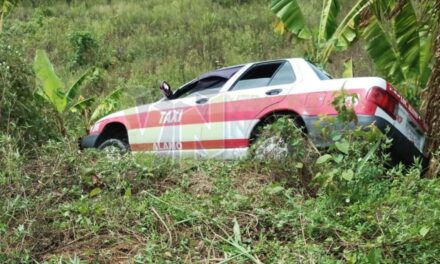 Taxi se sale de la carretera por esquivar un coche en Álamo