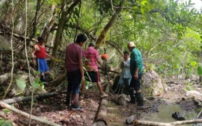 Tepetzintla: Lluvias provocan daños en el suministro de agua