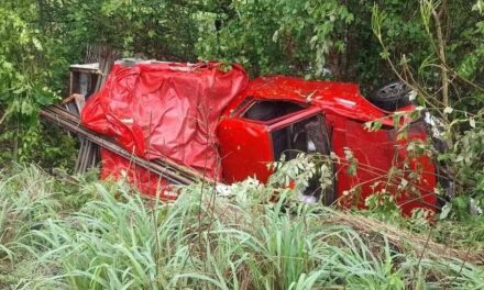 Vuelca estaquitas en la Tuxpan-Tampico: No se reportan lesionados