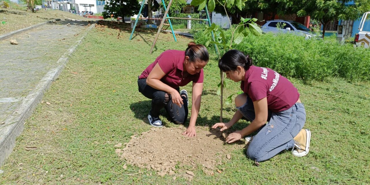 Se ponen en marcha acciones de reforestación en Tuxpan. En esta ocasión se plantaron árboles en áreas verdes de Petrópolis