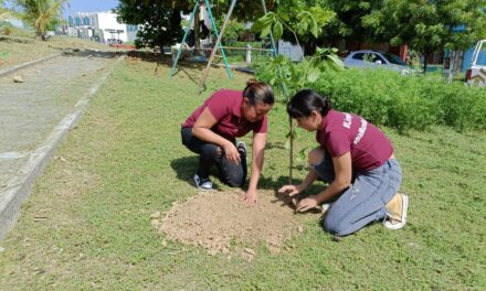 Se ponen en marcha acciones de reforestación en Tuxpan. En esta ocasión se plantaron árboles en áreas verdes de Petrópolis