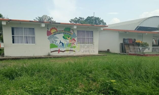 «Planteles requieren vigilancia y mantenimiento»: Regidora Tercera Álamo