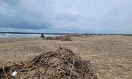Gobierno y Sociedad Civil participaron en una intensa jornada de limpieza de playas en Tuxpan