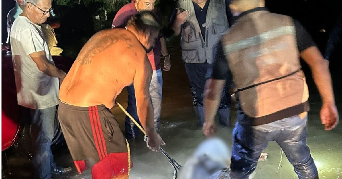 Camioneta es arrastrada por la corriente en Tempoal: conductor muere ahogado