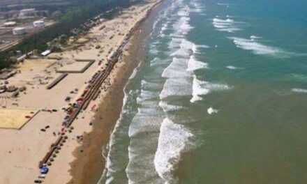  Papantla: Capturan cocodrilo en Rancho Playa