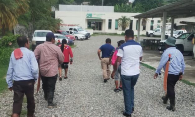 Habitantes de la comunidad  Reforma Escolín en Papantla se manifestaron en CFE