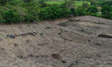 El pasado resurge en Papantla: Hallan restos de casa prehispánica