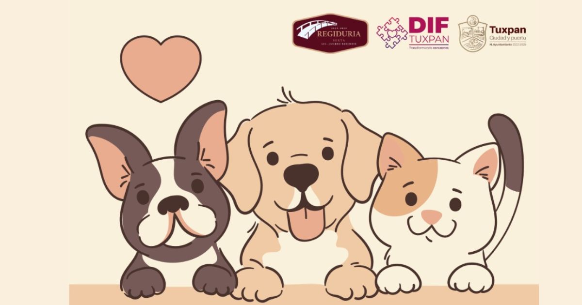 Mañana se realizará la Segunda Jornada de Adopción de Perros, “Un Hogar para Todos”, en la Plaza Cívica de Tuxpan, de 10:00 a 13:00 horas