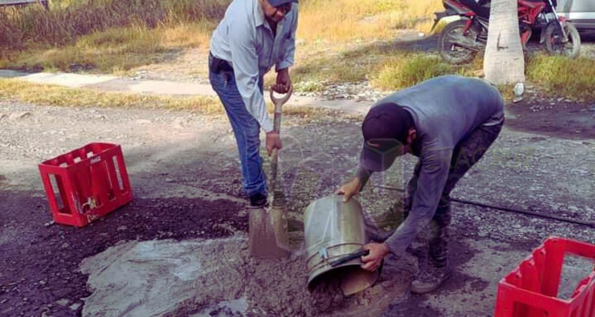 Ciudadanos de Álamo Toman la Iniciativa y Realizan Bacheo en Tramo La Barranca-Vegas de la Soledad