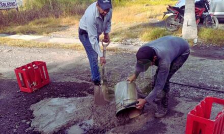Ciudadanos de Álamo Toman la Iniciativa y Realizan Bacheo en Tramo La Barranca-Vegas de la Soledad