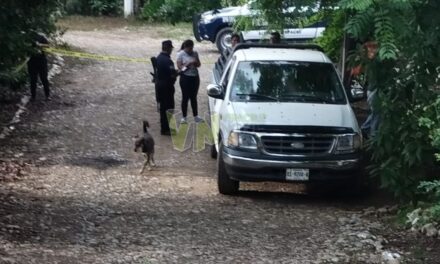 Balean Camioneta en Buenos Aires, Álamo: Autoridades Despliegan Operativo de Seguridad