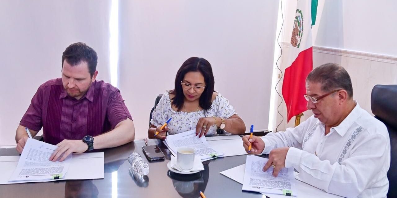 Tuxpan instalará 6,500 luminarias LED en el alumbrado público