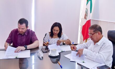 Tuxpan instalará 6,500 luminarias LED en el alumbrado público