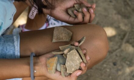 Localizan vestigios en La Provincia, Álamo