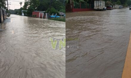 Alerta en Álamo: Inundaciones en La Unión y Villas de San Clemente tras desbordamiento de arroyo