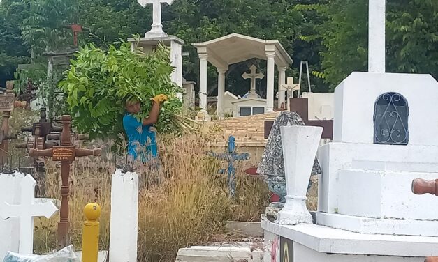 Realizan limpieza en el panteón de la colonia Mirador en Cerro Azul