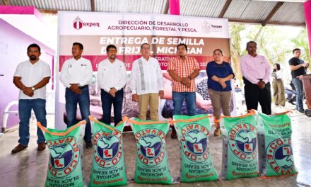 Con el apoyo del Gobierno de Tuxpan, campesinos de 30 comunidades sembrarán 560 hectáreas de frijol