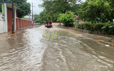 Arroyos desbordados inundan Álamo: Villas de San Clemente y Pueblo Nuevo bajo el agua