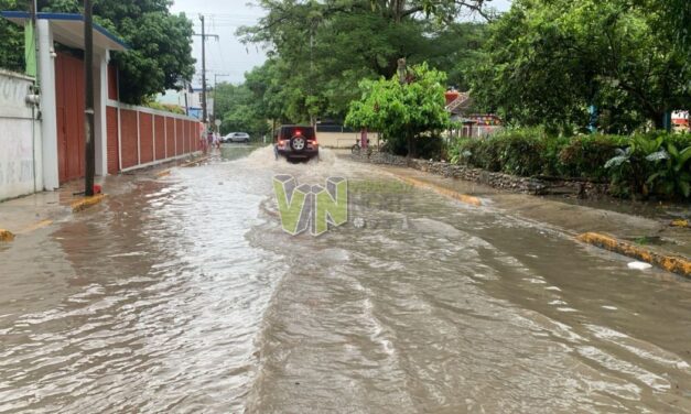 Arroyos desbordados inundan Álamo: Villas de San Clemente y Pueblo Nuevo bajo el agua