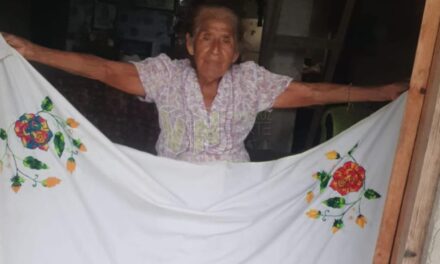 Álamo: Ayudemos a doña Tere, la abuelita que borda para sobrevivir
