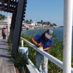 Intensivo programa de limpieza, rehabilitación y mantenimiento de parques, áreas verdes y espacios públicos de Tuxpan