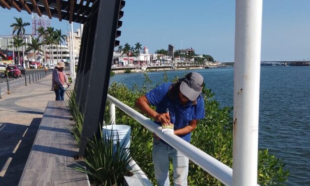 Intensivo programa de limpieza, rehabilitación y mantenimiento de parques, áreas verdes y espacios públicos de Tuxpan