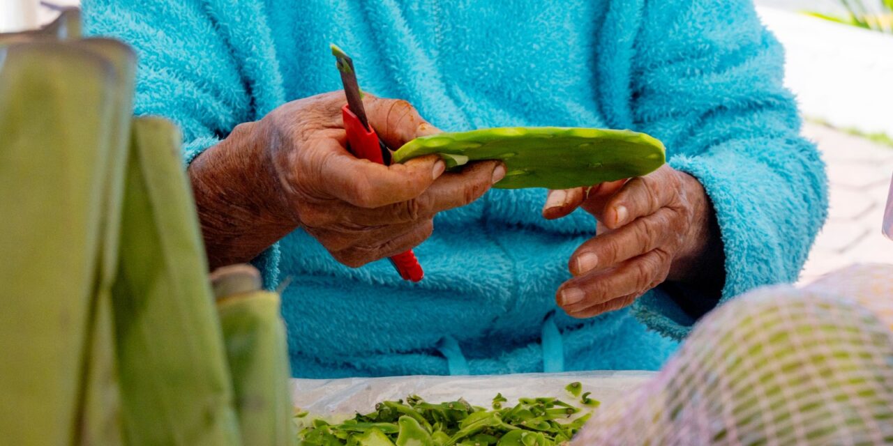 Venga a adquirir productos frescos del campo, a muy buenos precios, en el Mercadito Solidario instalado en la Plaza Cívica
