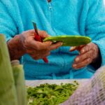 Venga a adquirir productos frescos del campo, a muy buenos precios, en el Mercadito Solidario instalado en la Plaza Cívica