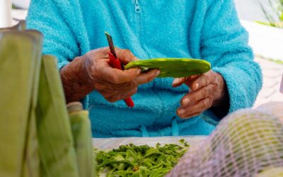 Venga a adquirir productos frescos del campo, a muy buenos precios, en el Mercadito Solidario instalado en la Plaza Cívica