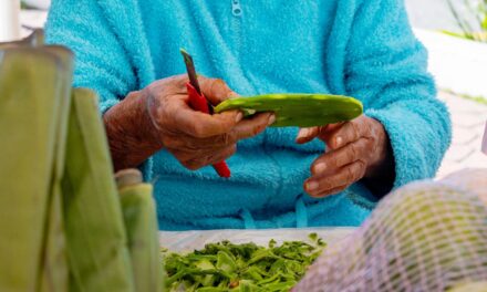 Venga a adquirir productos frescos del campo, a muy buenos precios, en el Mercadito Solidario instalado en la Plaza Cívica