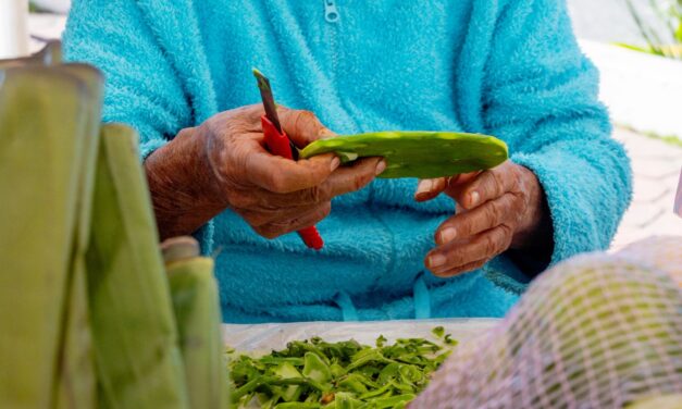 Venga a adquirir productos frescos del campo, a muy buenos precios, en el Mercadito Solidario instalado en la Plaza Cívica