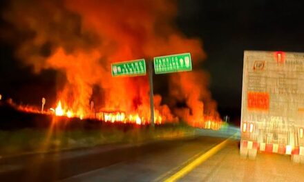 Incendio en Pastizal de Potrero del Llano