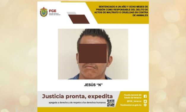 Sentencian a un año y ocho meses de prisión a hombre por maltrato animal en Álamo, Veracruz