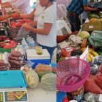 Tuxpan: Apoyemos a los productores locales en su “Mercadito Solidario”, que se realizará mañana domingo en la Plaza Cívica