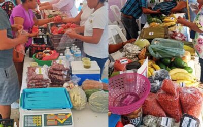 Tuxpan: Apoyemos a los productores locales en su “Mercadito Solidario”, que se realizará mañana domingo en la Plaza Cívica