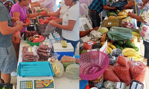 Tuxpan: Apoyemos a los productores locales en su “Mercadito Solidario”, que se realizará mañana domingo en la Plaza Cívica