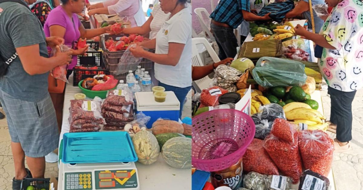 Tuxpan: Apoyemos a los productores locales en su “Mercadito Solidario”, que se realizará mañana domingo en la Plaza Cívica