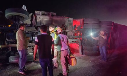 Vuelca tráiler cargado con 73 semovientes sobre el puente Tamos en Pánuco