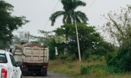 Camión Deja sin Energía Eléctrica a Cuatro Comunidades en Álamo