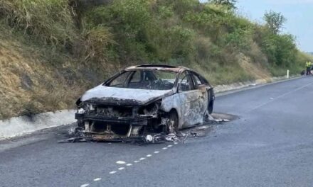 Incendio vehicular sobre la Carretera Federal Tuxpan-Tampico